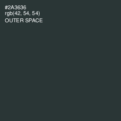 #2A3636 - Outer Space Color Image